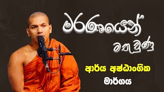 අන්ත දෙක ම අත හැරෙන්නෙ මැද පාරේ ගියොත් විතරයි  VenKirulapana Dhammawijaya Thero [upl. by Jorey]