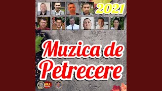 Muzica De Petrecere 2021 [upl. by Certie826]