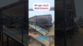 nlm scheme 50 lakh subsidy veterinarian [upl. by Odele]