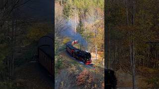 99 234 mit einem Zug zum Brocken im Thumkuhlental [upl. by Francesco]