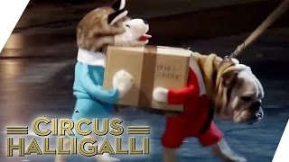 Aushalten Nicht lachen Tag Team Edition Vol 2  TEIL 4  Circus Halligalli  ProSieben [upl. by Zeugirdor]