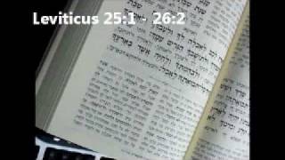 ONLINE BIBLE Yemenite Pronunciation Leviticus 251  262 פרשת בהר [upl. by Llet]