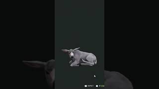 killed a mule deer female i thought it was an albino again thehuntercallofthewild gaming games [upl. by Ahsemrak]