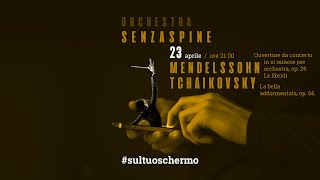 MENDELSSOHN ✩ TCHAIKOVSKY ✩ Orchestra Senzaspine [upl. by Fusuy]