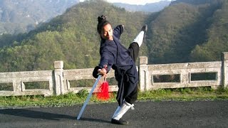 Wudang Sword 武當劍 Wudang Taoist Sword Form [upl. by Pauiie]