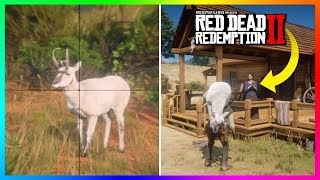 What Happens If John Marston Brings A Legendary Animal To Beechers Hope In Red Dead Redemption 2 [upl. by Lowery]