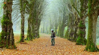 I found so many little treasures along the ancient fairy tale path Metal Detecting Germany Nr202 [upl. by Prentiss]