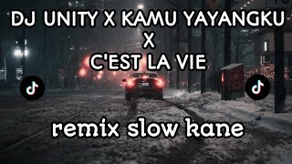 DJ UNITY X KAMU YAYANGKU X CEST LA VIE REMIX SLOW TERBARU 2024 [upl. by Aicilet486]