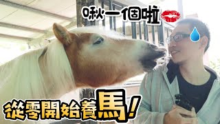 【從零開始養】養百萬的賽馬是什麼體驗上集許伯差點被馬騎【許伯簡芝】飼養分享 [upl. by Las124]