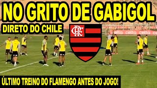 NO GRITO DE GABIGOL FLAMENGO FAZ ÚLTIMO TREINO NO CHILE PARA JOGO DECISIVO NA LIBERTADORES [upl. by Sherris]