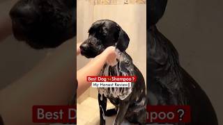 Best Dog 🦮 Shampoo❓ My Honest Review❗️ [upl. by Schechter]