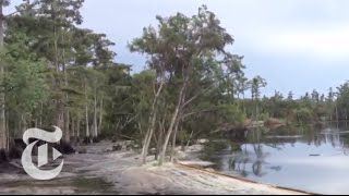 Sinkhole in Louisiana Swallows Trees  Caught on Tape 2013  The New York Times [upl. by Nnylesor706]