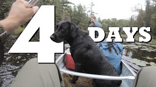 💥4 DAYS💥a DOGS CANOE ANDVENTURE in Northwest Ontario  EPIC WILDERNESS 4K [upl. by Ycaj]