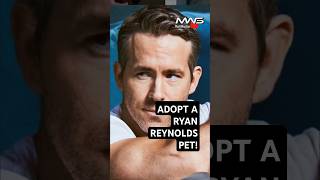 Adopt a Ryan Reynolds Pet [upl. by Trebron130]