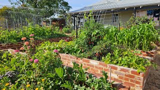 February 2024  Full Garden Tour Bursting to life in the Australian Summer [upl. by Ennazus]