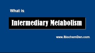 What is Metabolism Basics of Metabolism [upl. by Revell]