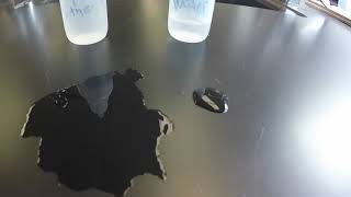 Ethanol vs Water Evaporation Demonstration [upl. by Mosnar]