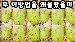 💚무 이걸 왜 몰랐죠 이렇게 맛있다니 놀랍습니다 한통 가득 만들어도 금방 다 먹어버립니다 [upl. by Araec286]