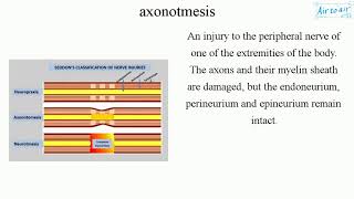 axonotmesis [upl. by Quickman]