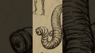 The 10 Most Mysterious and Scary Creatures Part 9  The Mongolian Death Worm Legends 1920s horror [upl. by Storer192]