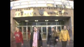 Yeshiva University Maccabeats sing Matisyahus One Day A cappella [upl. by Emelun960]