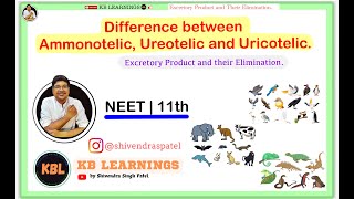 Difference between Ammonotelic Ureotelic and Uricotelic mode of Excretion  NEET  FoundationCollegeFC [upl. by Jarrett]