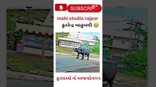 અજય દેવગન નો ભત્રીજોlike share subscribemahi studio rajpar [upl. by Gnay300]