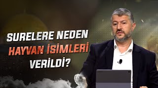 Surelere Neden Hayvan İsimleri Verildi [upl. by Isoj37]