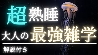 【5分で寝落ち・睡眠用】タメになる大人の雑学 [upl. by Ettevi]