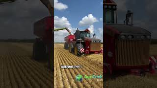 Efficient Wheat Harvesting with a Combine Harvester [upl. by Ramuk817]