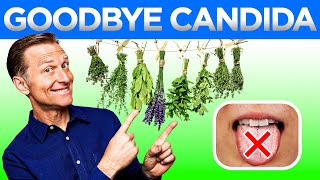 Say Goodbye to Candida The Best Ways to Cure It Permanently [upl. by Ynatirb]