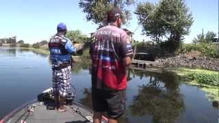 Punchin at the Cal Delta with Jared Lintner amp Ish Monroe  Part 1  Tackle Warehouse VLOG 206 [upl. by Riorsson843]