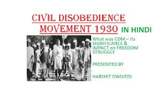 Civil Disobedience Movement 1930  Significance amp Impact on Indian Freedom Struggle In Hindi [upl. by Conner]