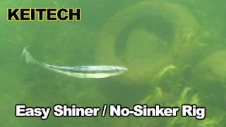 Easy Shiner No Sinker Rig [upl. by Kcirdot]