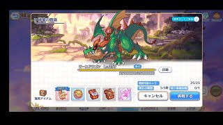 Princess Connect re diveJP Dungeon EX3 Level 70 Fight  2 Team [upl. by Terle]