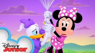 Upsy Minnie and Daisy  Minnies BowToons 🎀  disneyjr [upl. by Alroi221]