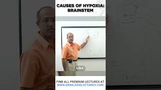 Causes Of Hypoxia Brainstem drnajeeb drnajeeblectures shortvideo [upl. by Phip]