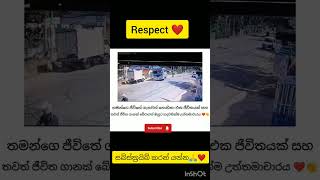 මිනිස්සු බනින බස් කාරයෙක්ම තමයි මේත් 😍❤️ automobile shortvideos new [upl. by Ennairrek]