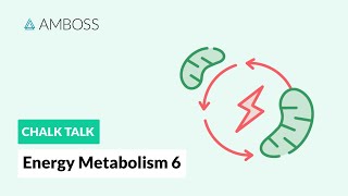 Energy Metabolism  Part 6 The Citric Acid Cycle with molecular structures [upl. by Haletky]