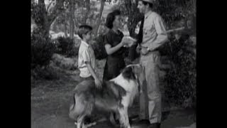 Lassie  Episode 36  quotThe Rivalquot Season 2 10  11131955 [upl. by Inglebert576]