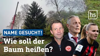 Frankfurter Weihnachtsbaum wird nach EintrachtLegende benannt  hessenschau [upl. by Joselyn]