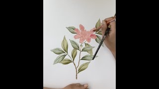 How to Paint Chinoiserie or Chinese Style Wallpaper  Competition [upl. by Alial550]