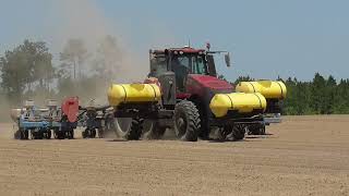 CASEIH MAGNUM305 PLANTING PEANUTS WITH A MONOSEM PLANTER BRIDGES FARMS 2022 PEANUT PLANTING PT2 [upl. by Beverlee596]