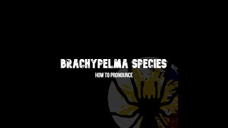 How to Pronounce Brachypelma Boehmei [upl. by Summons]