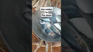 fire stove rice cooker shorts cooking [upl. by Hose595]