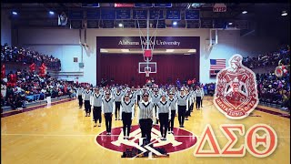 Delta Sigma Theta  ΔΔ Chapter  🔺️🐘 Spr 23 New Initiate Presentation 🔺️🐘  Alabama AampM University [upl. by Ecyrb]