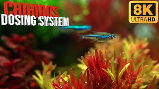 Fertilizing High Tech Planted Aquariums Like a PRO [upl. by Phillis]