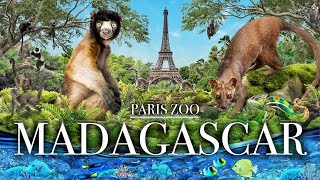 Zoo Tours Madagascar  Paris Zoological Park [upl. by Aikal]