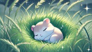 Hamsters Dreamy Hideaway Gentle Lullabies for Peaceful Sleep 🌾🐹 [upl. by Spain]