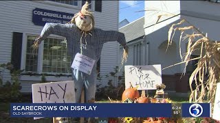 quotScarecrow Festquot kicks off in Old Saybrook [upl. by Barling]